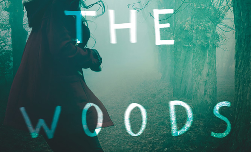 in the woods book