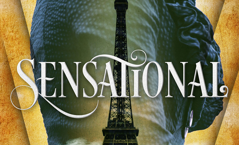 See the Cover of <i>Sensational</i> by Jodie Lynn Zdrok Here!