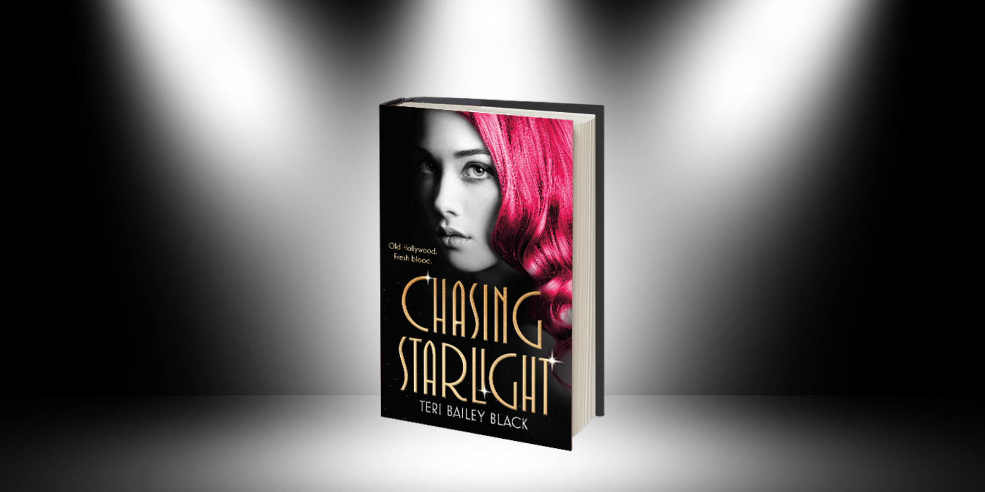 Read an Excerpt of <i>Chasing Starlight</i> by Teri Bailey Black!
